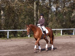 IMG_7887_web